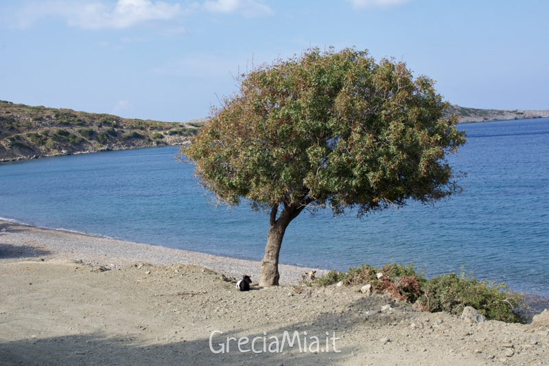 le migliori spiagge di Tilos