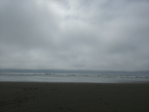 agate beach newport oregon nature travel oregon coast 