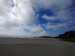 agate beach newport oregon nature travel oregon coast 