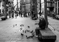 man feeding birds urban street life barcelona spain