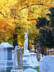 Bellefontaine Cemetery St Louis Missouri