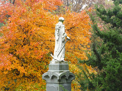 bellefontaine cemetery st. louis 