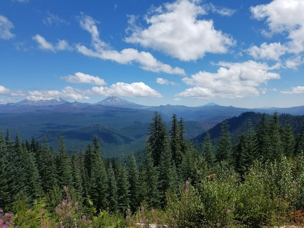 cascades of oregon horse creek jewelry