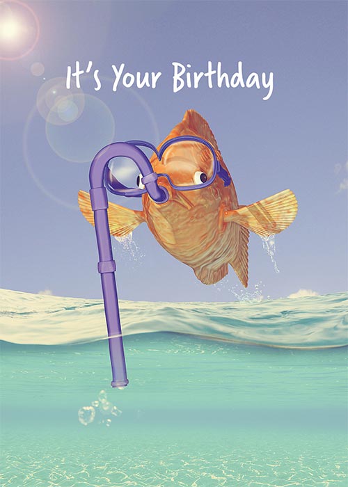 Funny Fish Birthday Card – St. Thomas Greetings