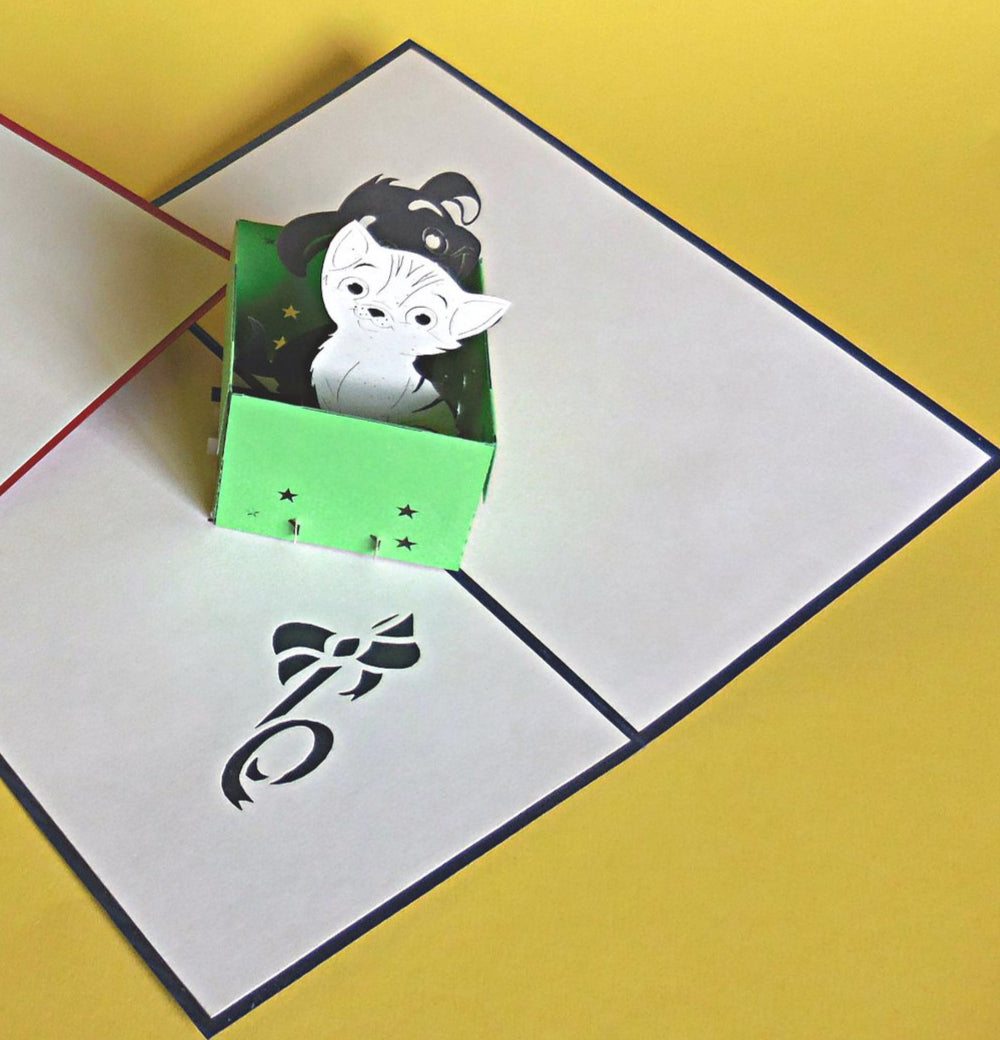 Cat and Dog in Box II (Blue) 3D Pop Up Greeting Card - Animal - Animals - Fun - Just Because - Puppy - iGifts And Cards
