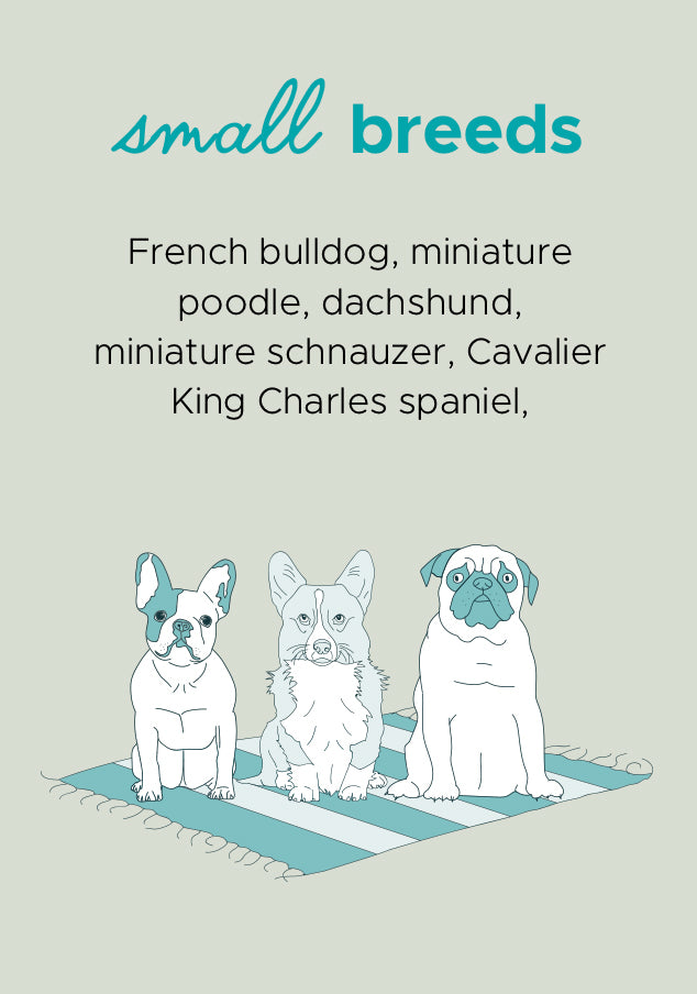 Dog Breeds