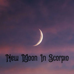 zenpolitan™ NewMoon