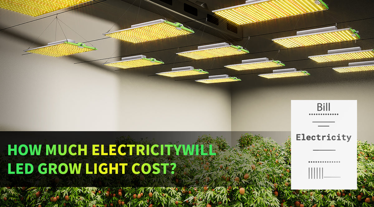 How Much Will LED Grow Cost? – BESTVALED