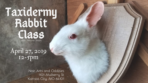 Taxidermy Rabbit Class