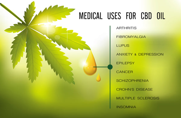 iSmokeShop, CBD, Cannabidiol, Hemp, Medical Marijuana, Everything You Need to Know About CBD, Endocannabinoid System, Cannabinoids, Herbal Medicine,