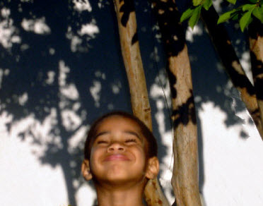 AWBM David in the Backyard