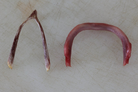 chicken wishbone difference between duck wishbone