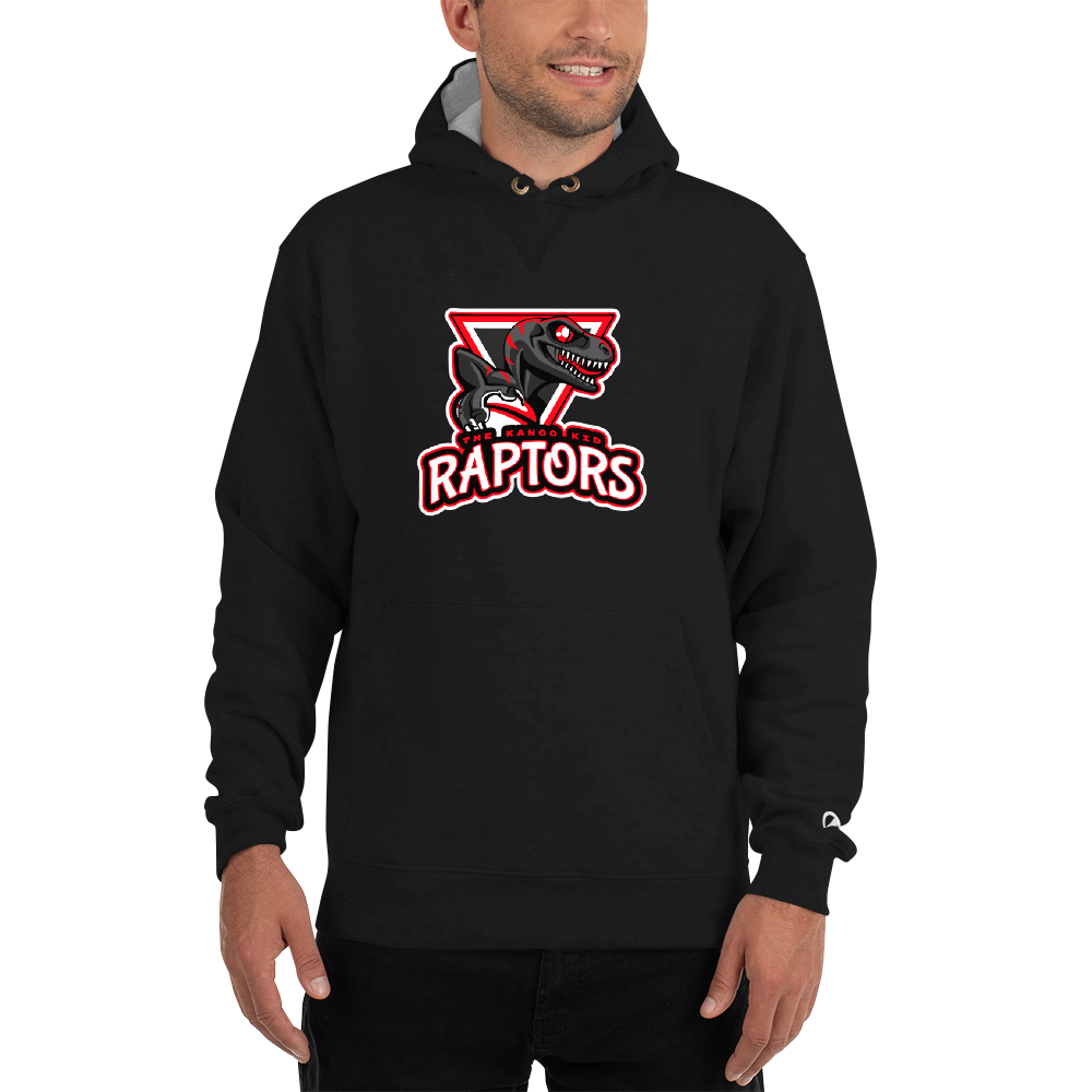 raptors championship hoodie