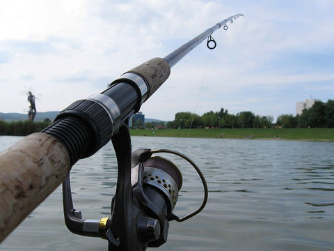 Spinning Rod with Spinning Reel