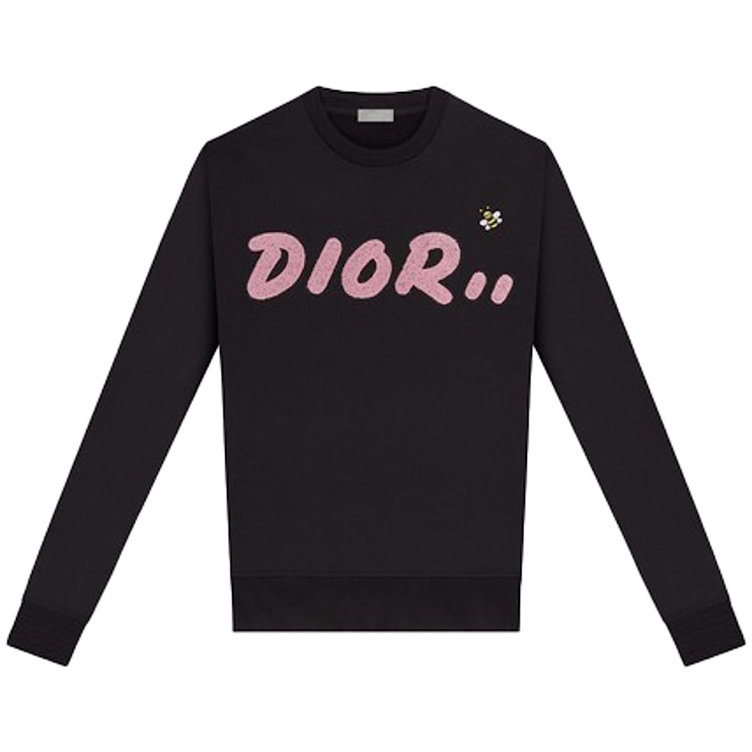 dior x kaws sweater