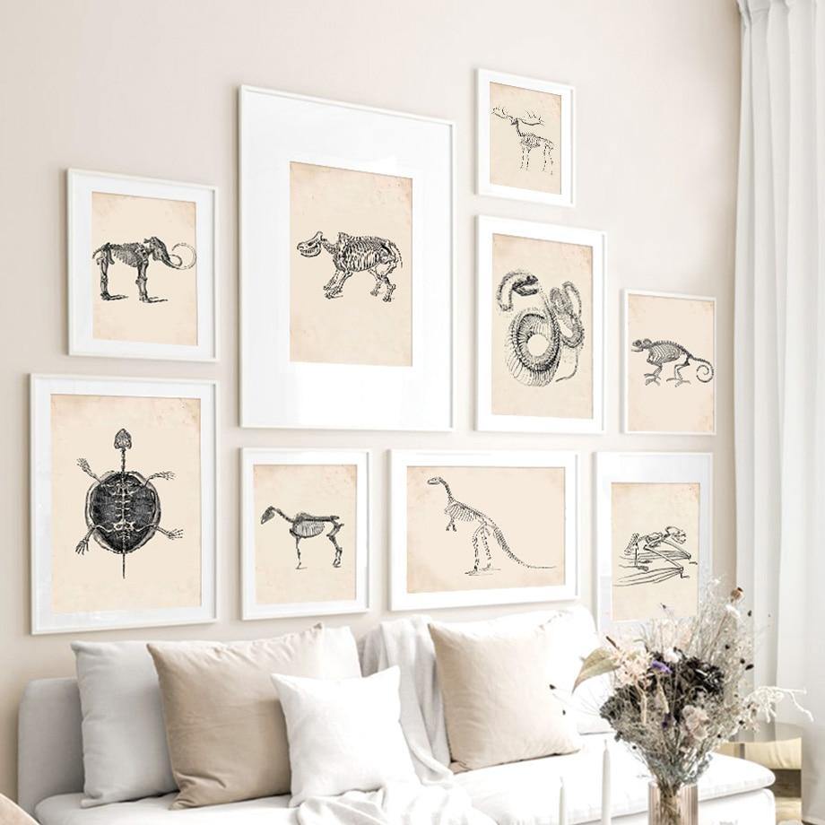 Animal Anatomy Skeleton Wall Art Pictures Gallery Wallrus Free Worldwide Shipping