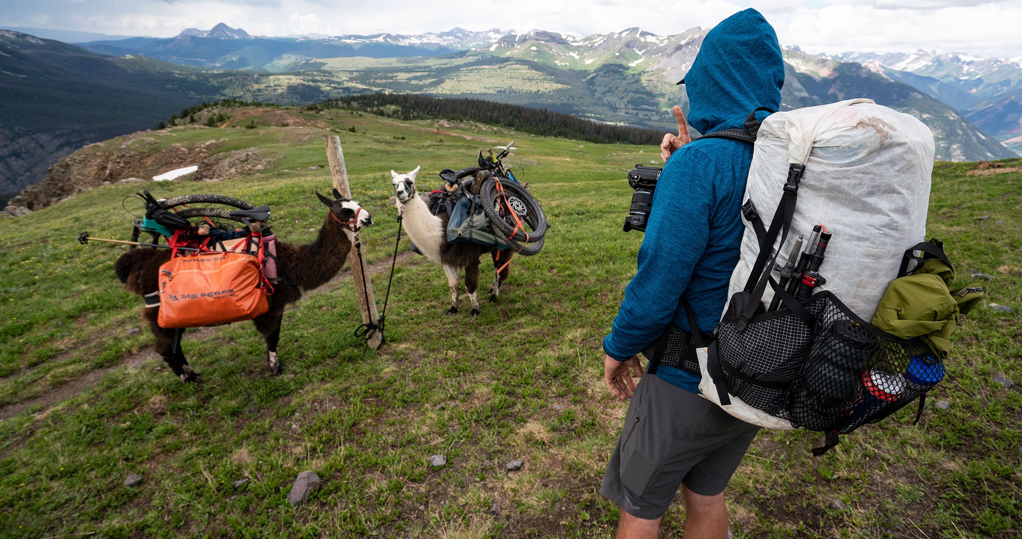 Ultralight bikepacking gear loaded onto llamas