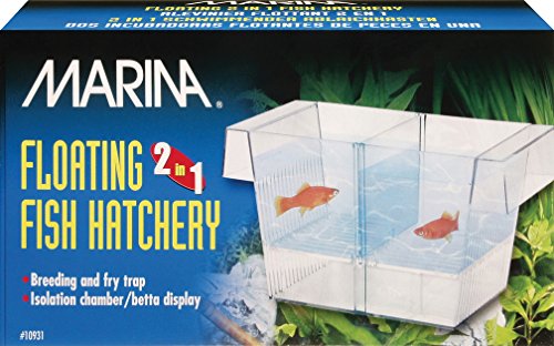 Marina Floating 2 in 1 Fish Hatchery