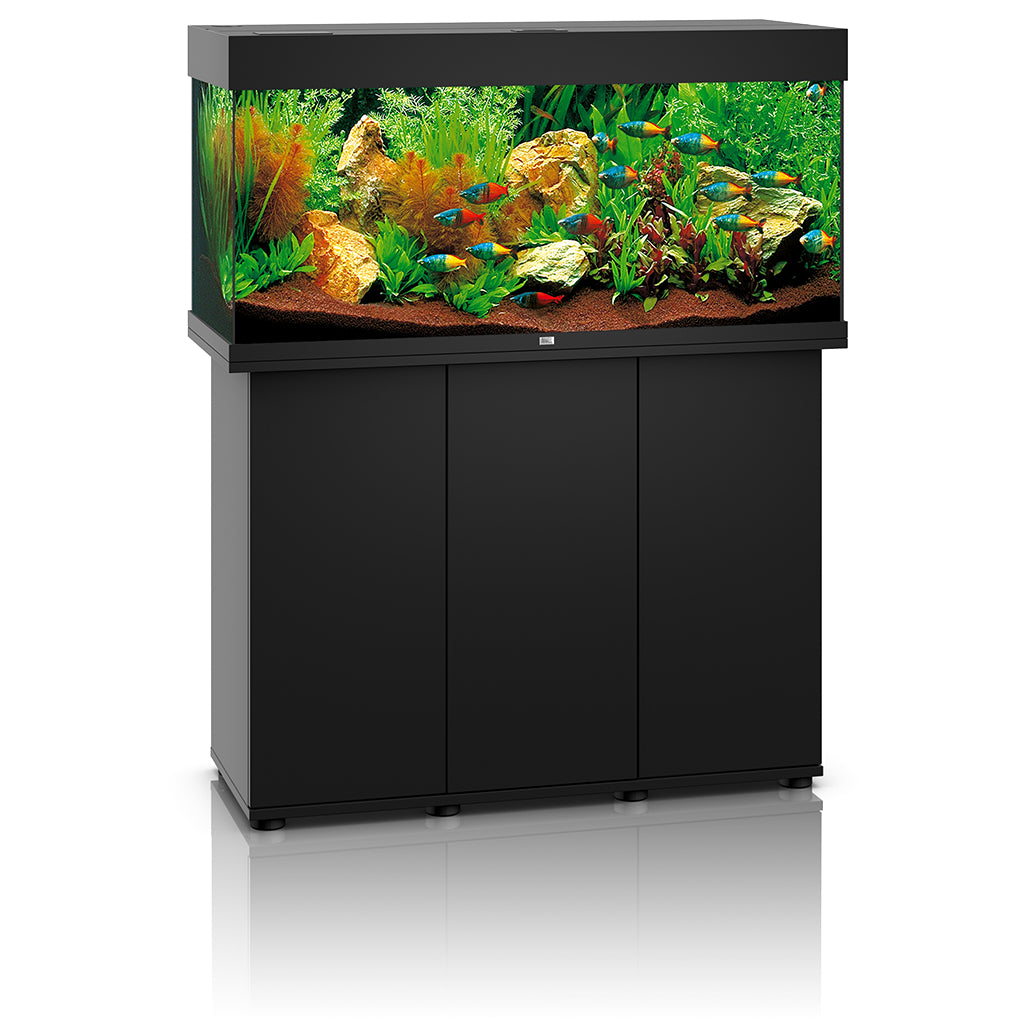 Meer dan wat dan ook Gooi Humaan Juwel Rio 180 Aquarium with Cabinet Fish Tank – Aquacadabra
