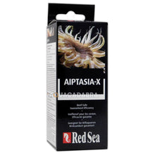 Red Sea Aiptasia-X 60ml Kit - R22231