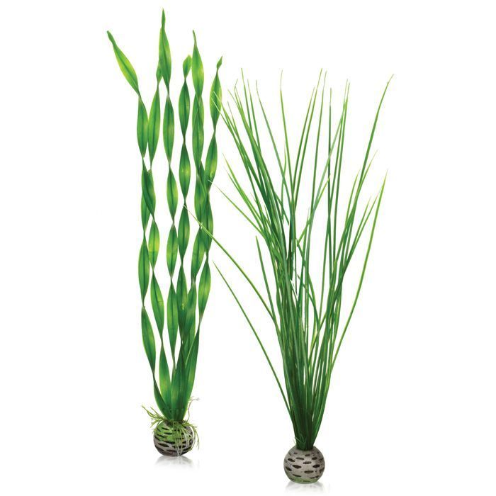 BiOrb Easy Plants (Tall x2) - PL03