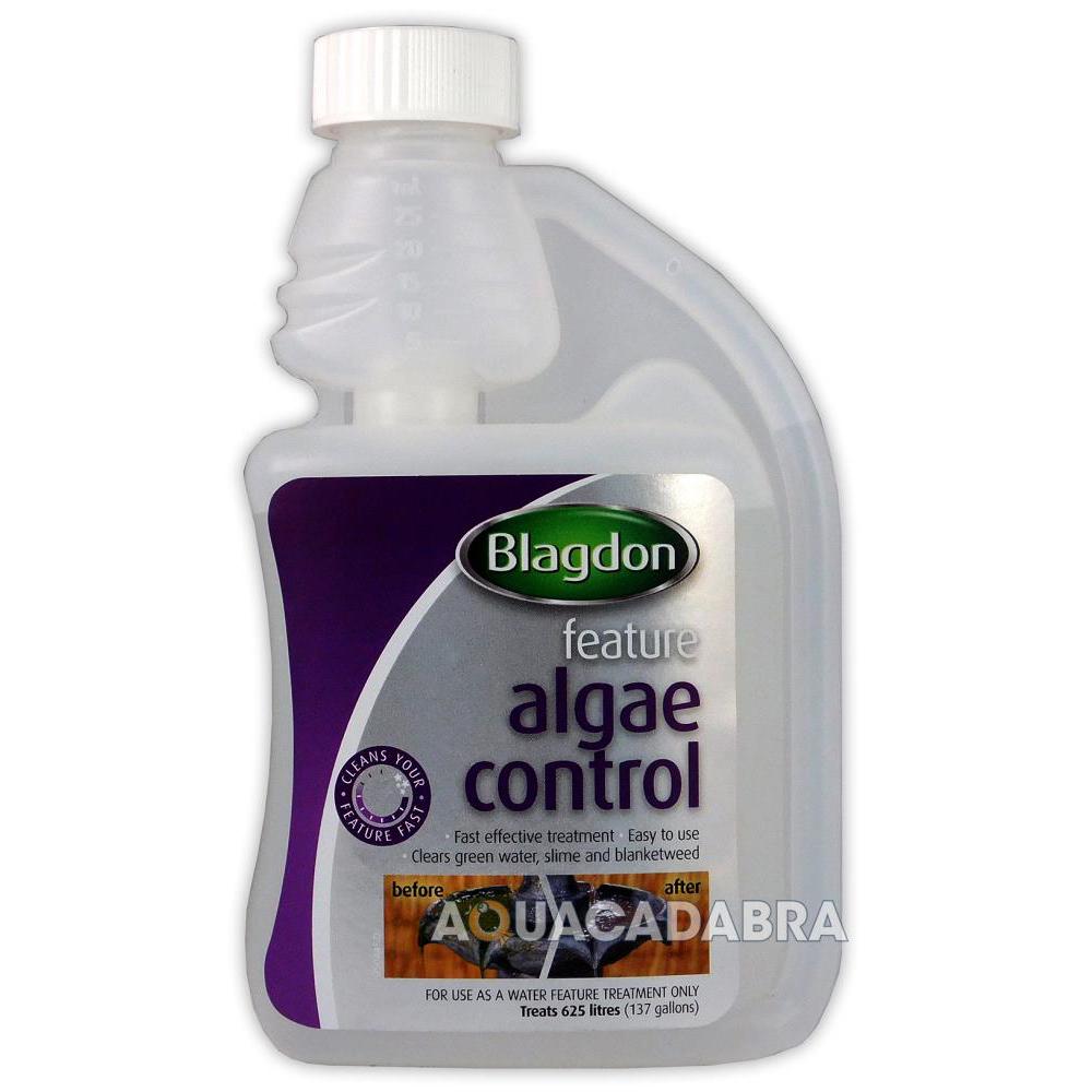 Blagdon Feature Algae Control