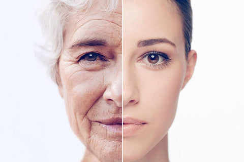 Anti aging properties 