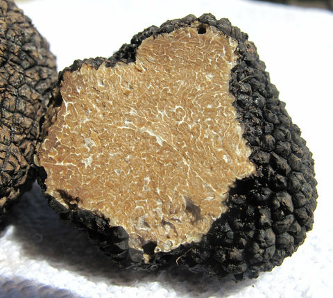 The shape of the dark-brown truffles is similar to nugget