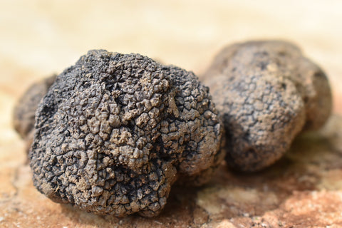 It needs long time to grow a truffles