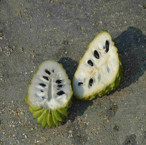 Super food custard-apple or sitaphal Ayurmeans