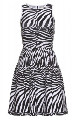 ISSA - Zebra Knit Dress