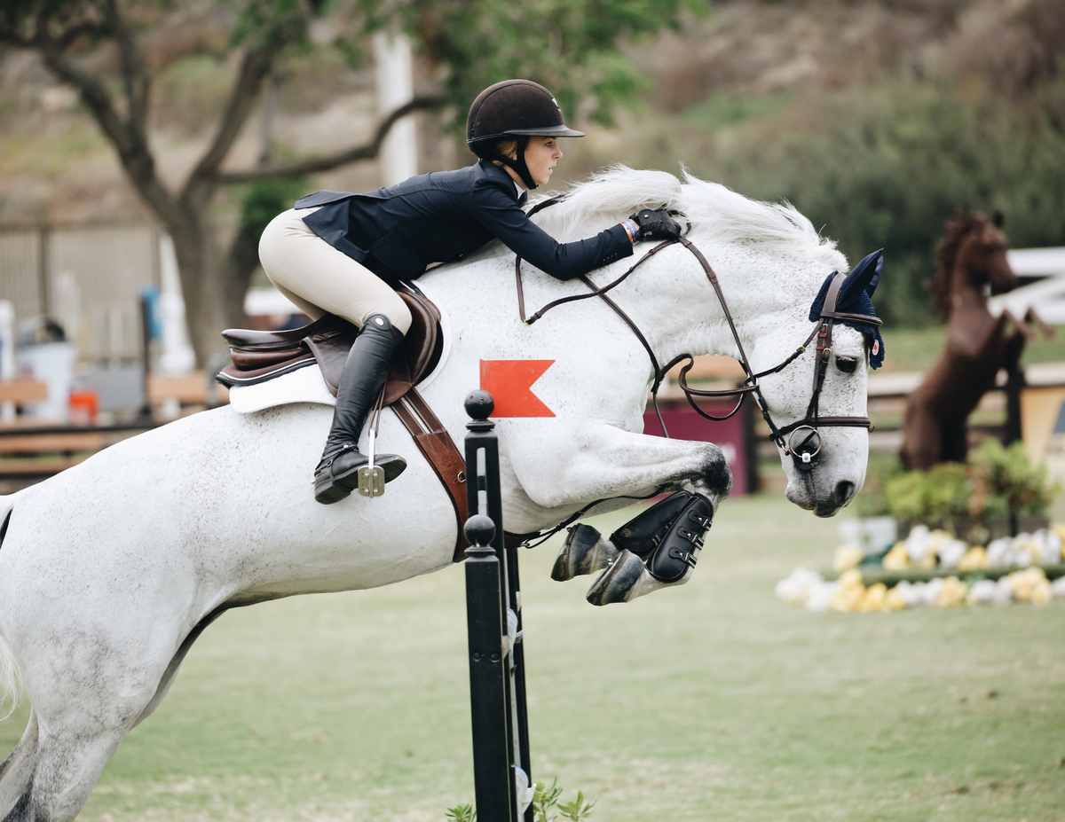 what-to-wear-for-horse-showing-hunter-jumper-attire-canterbury