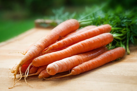 Natural Dog Food Ingredients Carrots
