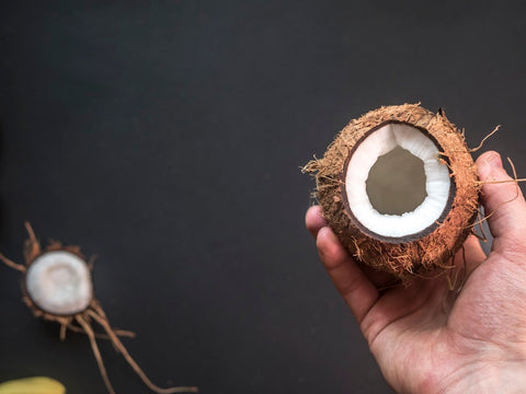 Natural Dog Food Ingredients Coconut Shredded
