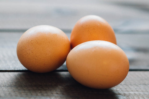 Natural Dog Food Ingredients Eggs