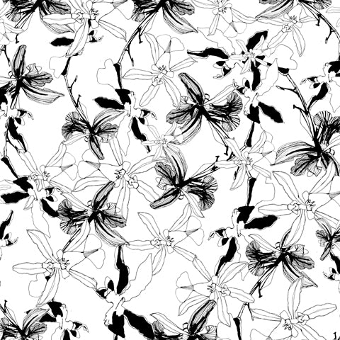 OlaOla black and white floral drawing