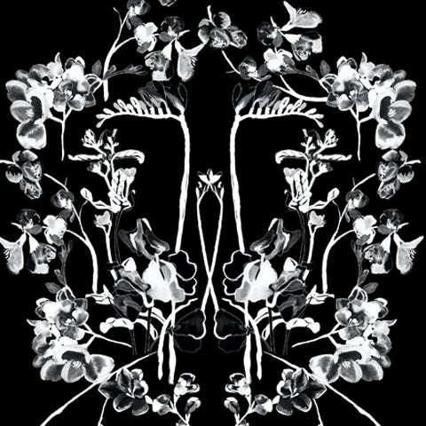 OlaOla x Black Cherry Studios black and white florals pattern