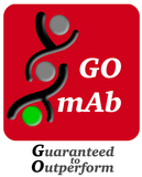 Annexin A6 Antibody