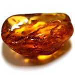 Amber Properties