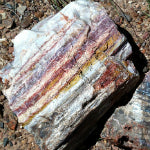 Petrified Wood Properties