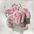 Anatomical Heart Ornament / Sachet