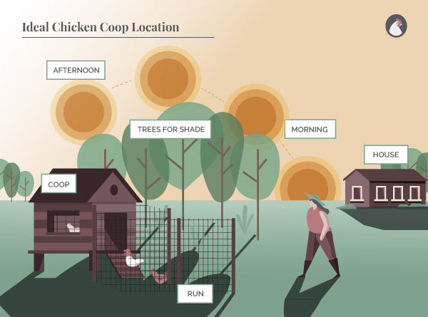 chicken coop location