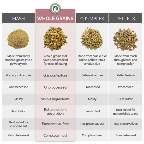 Types of chicken feed comparison chart, wholes grains, pellets, mash, and crumble