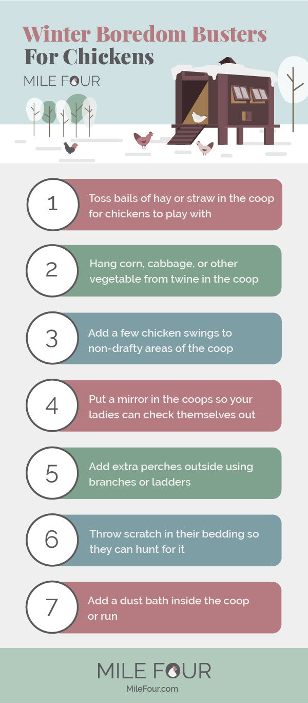 boredom busters for chickens in the winter