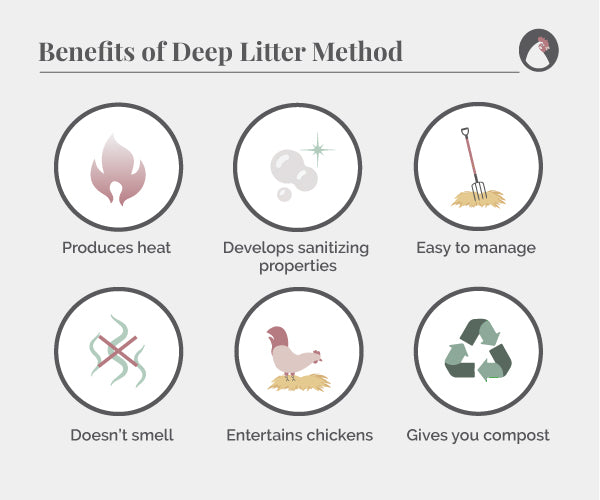 Benefits of the deep litter method in your chicken coop