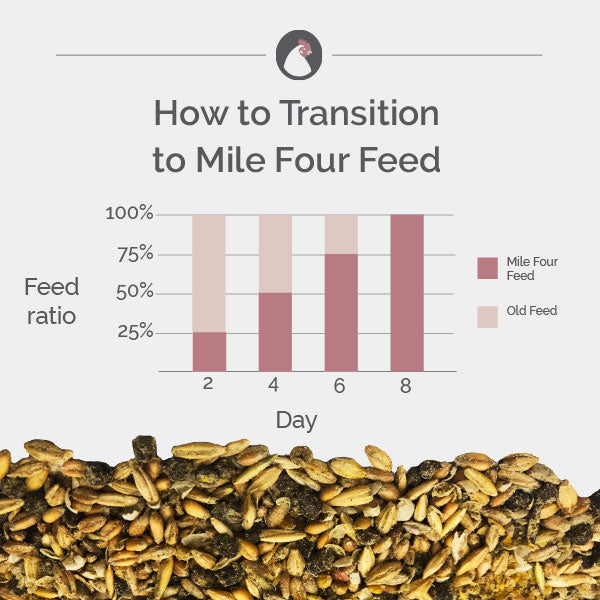 Chicken feed transition chart for Mile Four feed