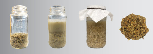 The four stages of fermented chicken feed in a mason glass jar
