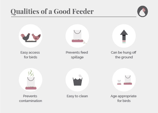 Qualities of a good feeder for chickens