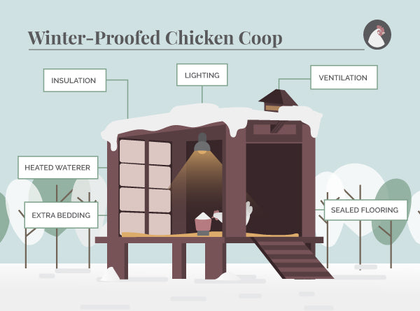 Winter-proofed chicken coop