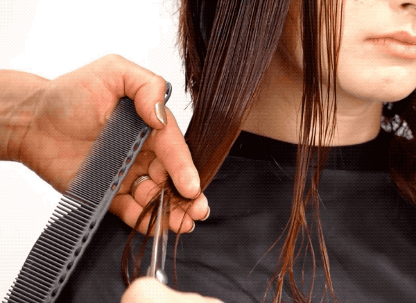 point cut the front section
